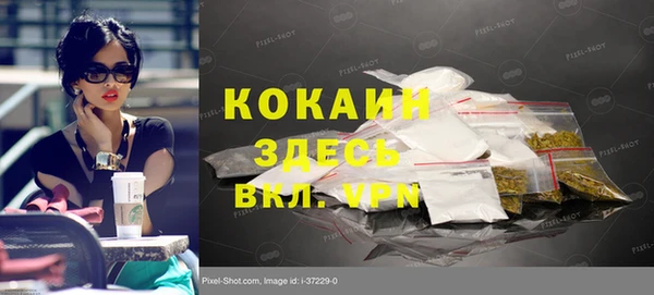 индика Алзамай