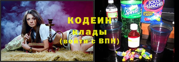 индика Алзамай