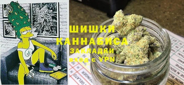 индика Алзамай