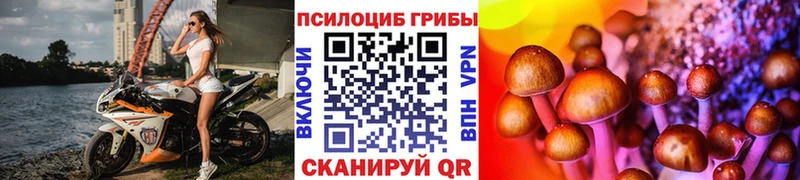 Псилоцибиновые грибы мухоморы  Купить где  Моздок 